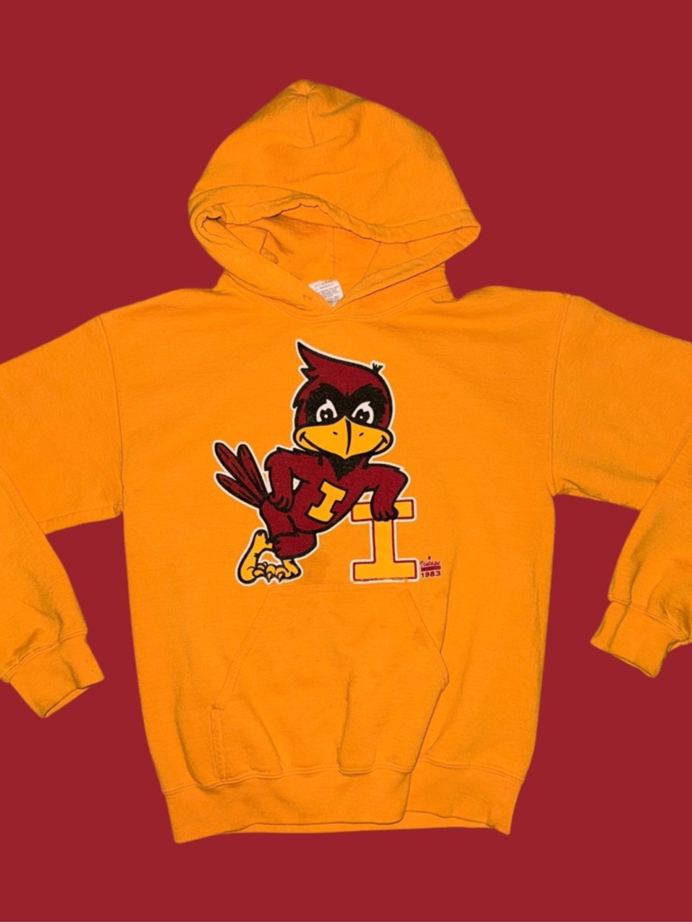NCAA Iowa State ISU Cyclones Vintage Graphic Hoodie Sweatshirt Size Small